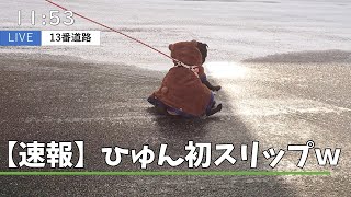 【黒パグのひゅんける速報】ピザ食い犬、スリップした現場を押さえられる冬【初雪道散歩】