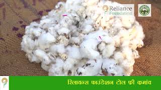 कपाशी साठवणुकीची पद्धत | Precautions for Storage of Cotton Crop