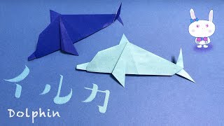 夏の折り紙 イルカ の立体的で可愛い折り方 海の生き物 Fukuoriroom