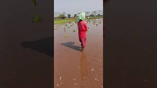 నీ కష్టం ఇది 🌾🌾🌾🌾🙏🙏 ప్లీజ్ సబ్స్క్రయిబ్ మై ఛానల్