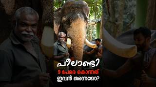 Peelandi Elephant | Kodanad Peelandi #elephantattack #keralaelephants