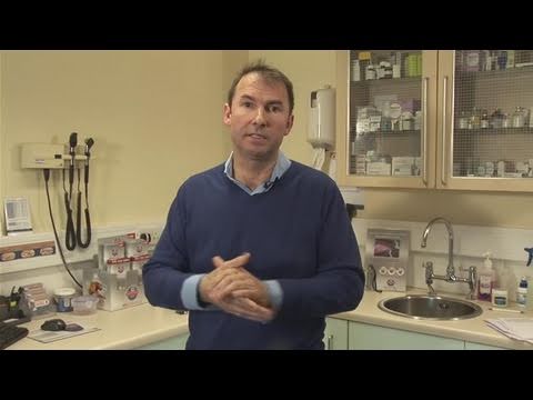 How To Supervise Your Pet Dogs Mating How To Supervise Your Pet Dogs Mating