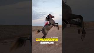 شوف كيف طرحتها بالاخير 💔😰 ليش سوت كذا ؟ خوف ولاعباطه ؟ #horse  #خيل #اكسبلور #خياله #ترند