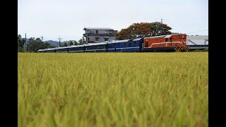 [列車紀錄] R20型60年紀念專列-6708次  內灣線 橫山=九讚頭