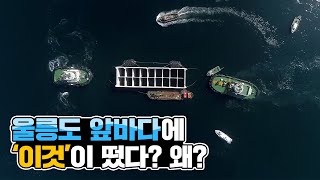 수심 30m 바다 위 활주로는 어떻게 만들어질까? | 울릉공항