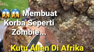 Djigger, penyakit kutu alien di Afrika