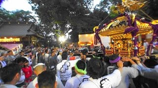 平成28年 丸子山王日枝神社山王祭「宮入り」本社大神輿宮入渡御 #3。