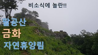 [힐링 캠핑] 팔공산금화자연휴양림 / 우중캠핑 / 등산 / 가산 / 가산바위 / 가산산성