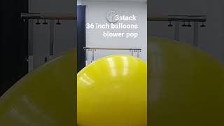 3stack 36inch balloons blower pop　　　　　　(36インチ3重風船ポンプ割り) #風船割り #balloon #風船 #巨大風船