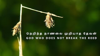 நெறிந்த நாணலை முறியாத தேவன் | God who does not break the reed