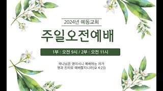 24.12.15 주일오전예배 - 겨자씨 한 알만한 믿음