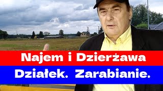 Najem i dzierżawa działek. Jaką działkę kupić. Najem i dzierżawa - różnica. Zarabianie na dzierżawie