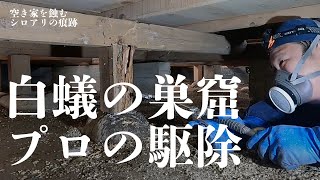 【溢れる白蟻の巣窟】放置空家のシロアリ駆除に密着【方法解説】