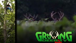 Deer Hunting Prep Tips | Scouting Bucks | Hanging Stands | Fall Food Plots (#407) @GrowingDeer.tv