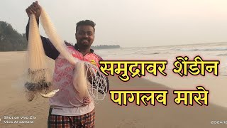 समुद्रावर शेंडीन पागलव मासे |#fishing #kokan #village #ocean #sea #seafishing