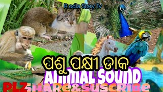 Animals sound // Birds sound //Rodia story Tv//ପଶୁ ପକ୍ଷୀ ଡାକ //sishu batika //cartoon story