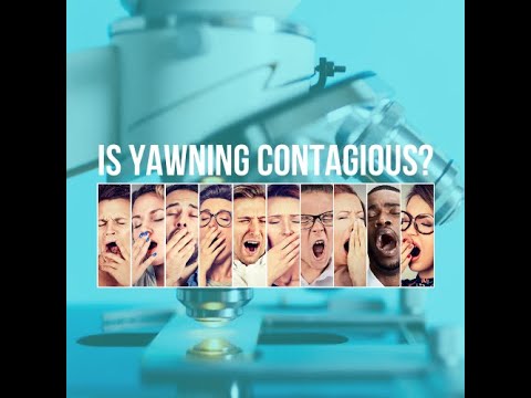 【SciAcademy】打哈欠会传染吗？Is Yawning Contagious？Why Is Yawning Contagious ...