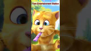 My Tom Ginger 2 Says / Two Hundred Seven / Short Video #shorts