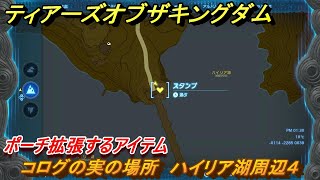 ゼルダの伝説ティアーズオブザキングダム　コログの実の場所　ハイリア湖周辺４　ポーチ拡張するアイテム　＃６６８　【ティアキン】