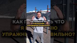 Знания основных мышц и их функция сильно поможет в тренировках! Подробнее в других видео и тг канале