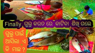 ଜେଜେ ଗୁଲୁ କୁ କରତ  ରେ  କଟା କଟି  ସିଖେଇଲେ/ଗୁଲୁ ପାଇଁ  ମାଛ ବି  ଆଣିଲେ/odia vlog video/dailly vlog video