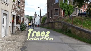 Exploring natures beauty TROOZ| Belgium| IMSAL| 2021