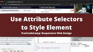 Use Attribute Selectors to Style Elements (Basic CSS) freeCodeCamp tutorial