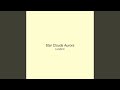 Star Clouds Aurora
