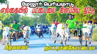 பெரியமாடு - மேலூர் பந்தயம் 29.05.2023