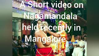 A short video on Nagamandala held in Kananjar - Udupi recently🙏