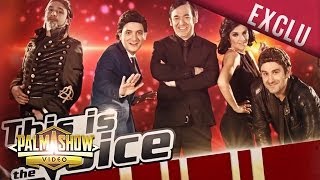This Is The Voice - Palmashow
