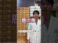 漢方で使用する鹿の角について。漢方では、朝鮮人参と並び、無くてはならない生薬の一つです！