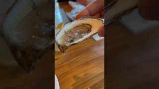 Did u ever taste a raw oyster; can’t think of anything saltier than this #food #oysters #lunch