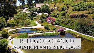 AQUATIC PLANTS & BIO POOLS, PROPERTY TOUR OF REFUGIO BOTANICO IN CENTRAL PORTUGAL