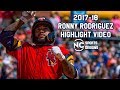 2017 Ronny Rodriguez Highlight Video | Detroit Tigers || HD