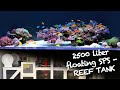 REEF TANK TOURS - exclusive SPS floating REEF - 2500 liter HIGH CLASS SETUP