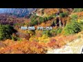 白山白川郷ホワイトロードの紅葉　空撮