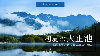 Taisho Pond in early summer（kamikochi in japan)