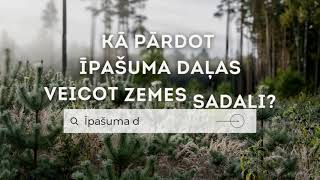 Kā pārdot meža īpašumu daļas | PRIEDES AG