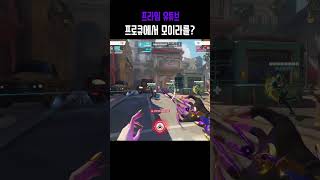 프로 상대로 모이라 해봤습니다