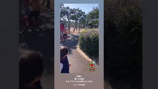 湘南　茅ヶ崎市　辻堂海浜公園ではじめて遊んできました❤︎