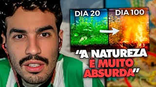 STAG REAGE: SIMULANDO UM ECOSSISTEMA POR 100 DIAS! | Clipes do Stag