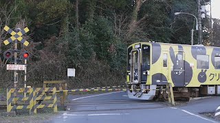 ひたちなか海浜鉄道　中根駅踏切