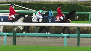 【現地撮影】ヴァイトブリック＆戸崎圭太騎手　本馬場入場と返し馬