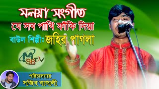 #যে সব পাখি ফাঁকি দিয়া #জহির পাগলা |Jahir Pagla|মলয়া সংগীত|Moloya Songet|New baul song|msv tv