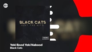 Black Cats - Yeki Bood Yeki Nabood (feat. Sami Beigi) | بلک کتس - یکی بود یکی نبود OFFICIAL TRACK