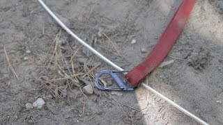 Easy dog leash line setup for camping