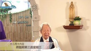 每日聖言分享 【將臨期第三週星期三(路 7:19-23)】 天神之后傳教女修會呂綸修女