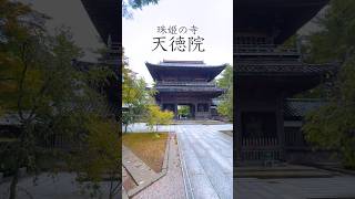 【金沢の縁結びの寺/天徳院】#金沢旅行 #縁結び #寺院 #良縁 #パワースポット