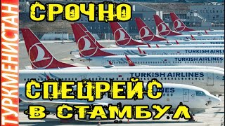 Новости Туркменистана Turkish Airlines организует спецрейс из Ашхабада в Стамбул turkmenistan